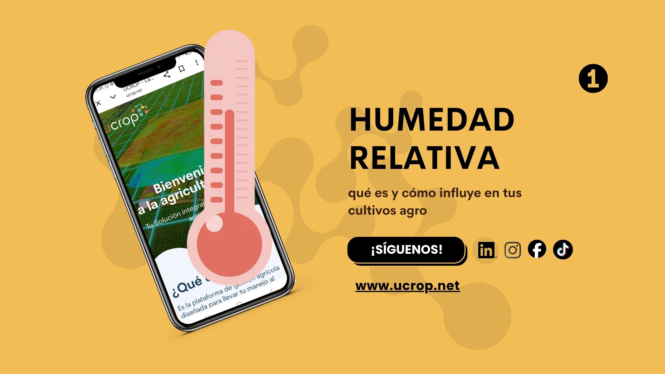 Humedad relativa y temperatura del aire