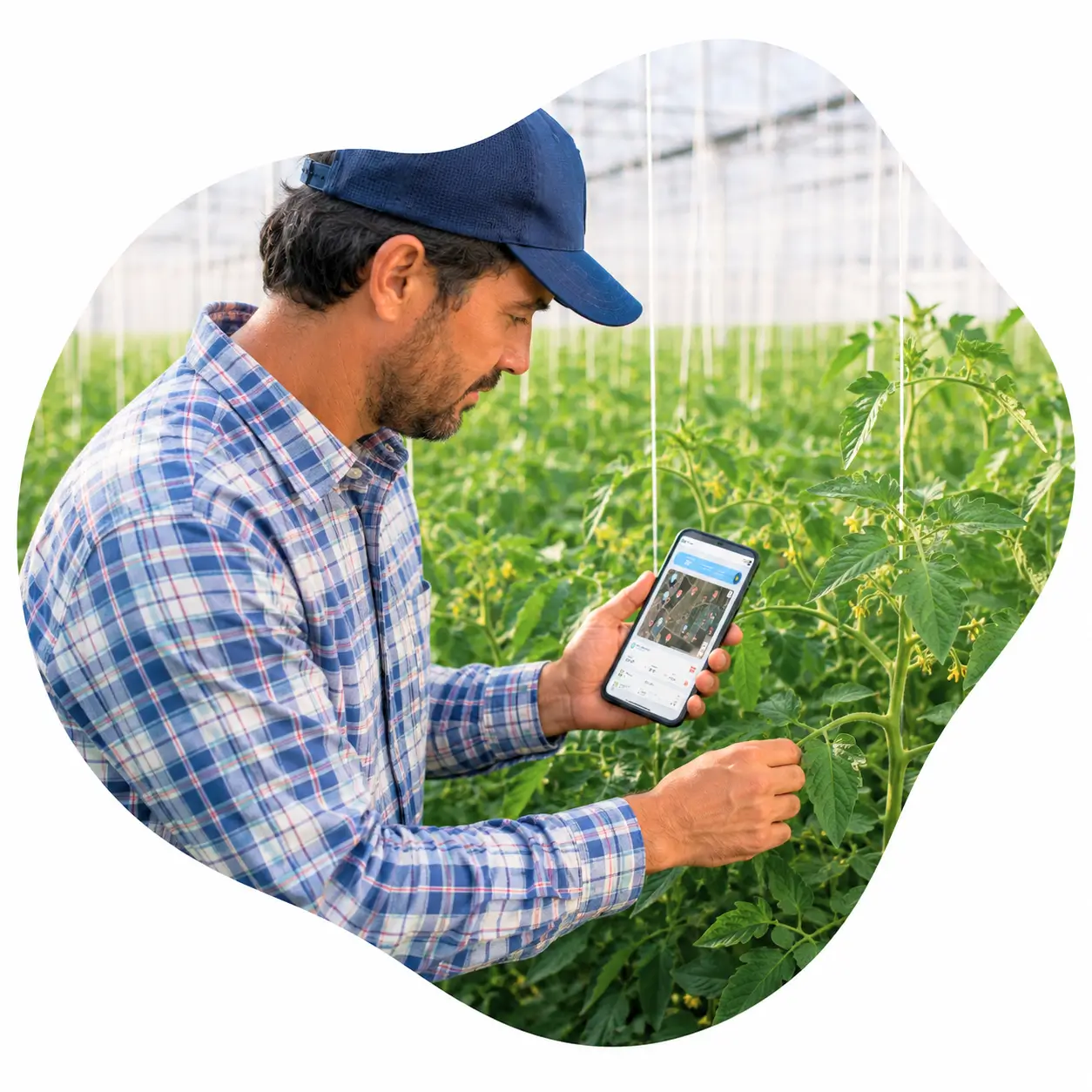 Irrigation Solutions