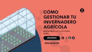 Cómo gestionar tu invernadero agrícola