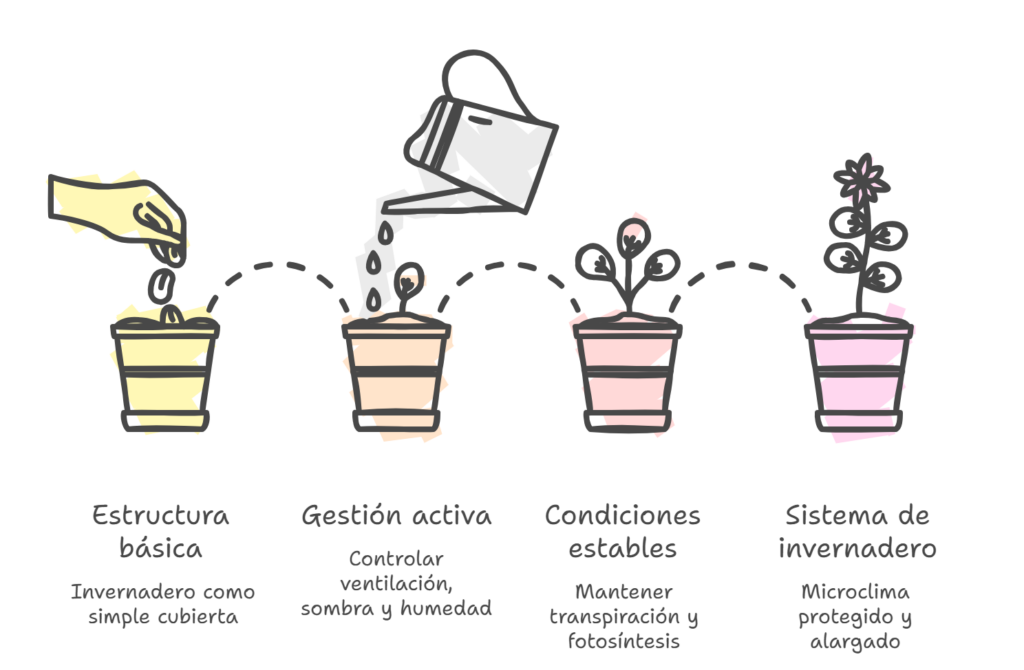 Invernadero estructura