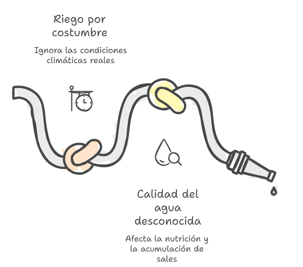Riego y fertirriego_ donde se gana (o se pierde) la campaña