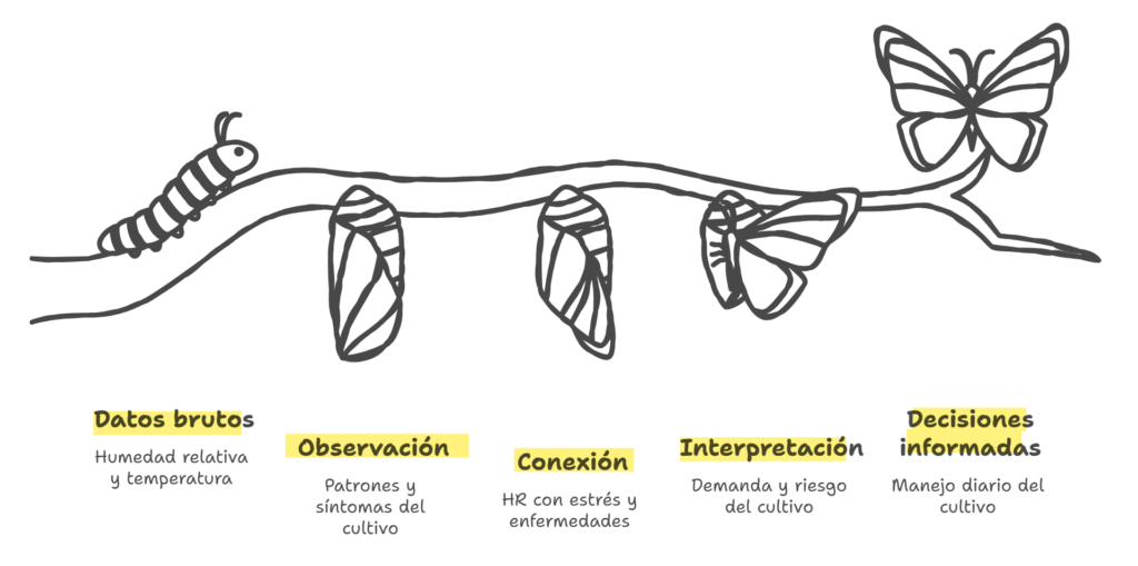 Cómo optimizar la humedad relativa para favorecer tus cultivos