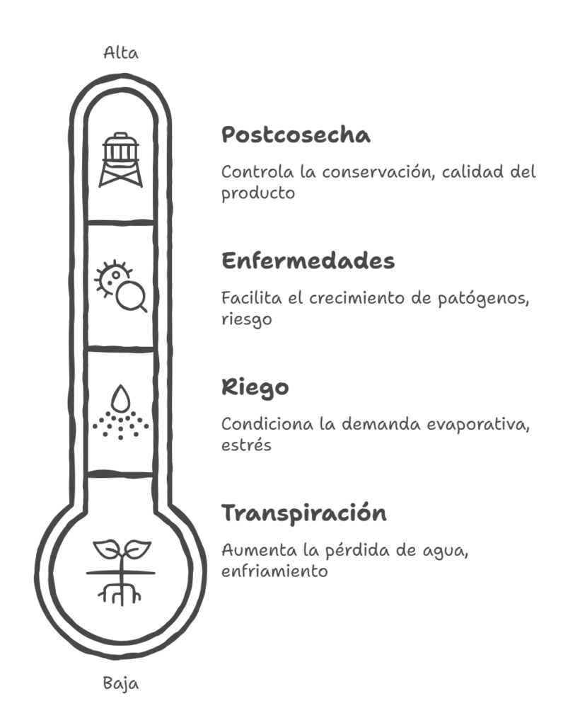 Efectos de la humedad relativa en riego, transpiración, enfermedades y postcosecha en cultivos agro