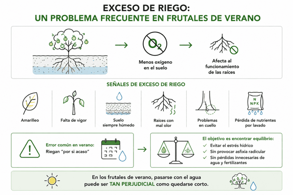 exceso_de_riego_un_problema_de_los_frutales_de_verano