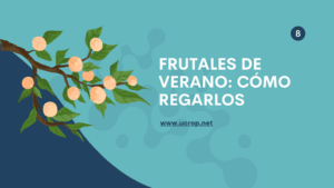 futales_de_verano_como_regarlos