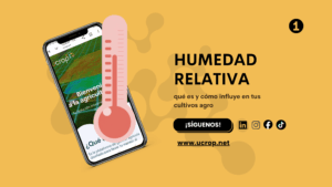 Humedad relativa: qué es y cómo influye en tus cultivos agro