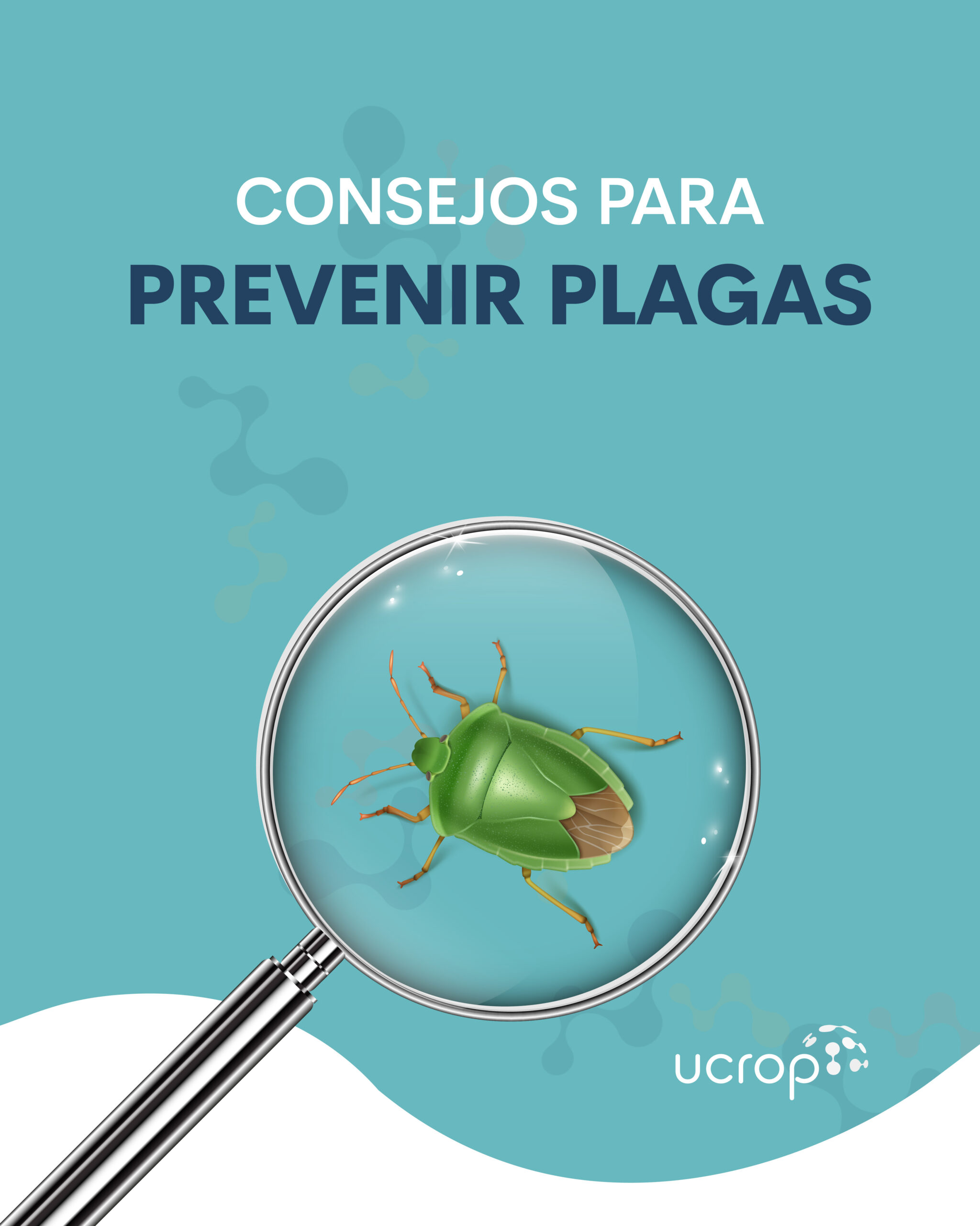 prevenir plagas